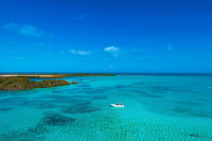 Archipiélago Los Roques - 1