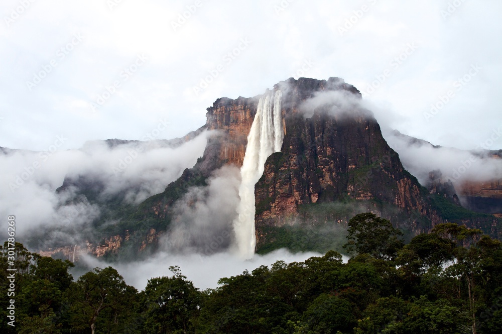 Auyantepuy y Salto Ángel