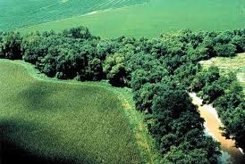 Galerías de Bosque