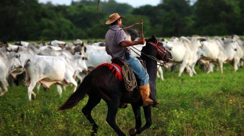 Los Llanos - 1