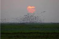 Los Llanos - 3