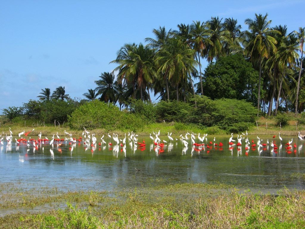 Laguna de Cuare