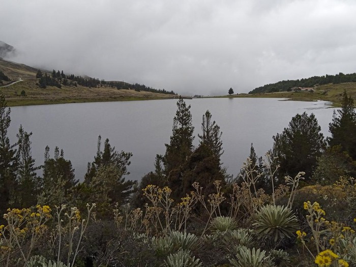 Laguna de Mucubají