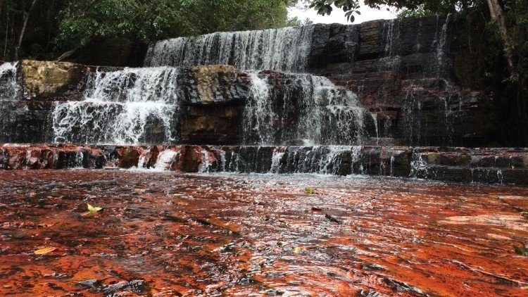 Parque Nacional Canaima - 7