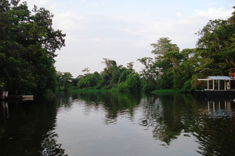 Catatumbo Swamps National Park (Ciénagas del Catatumbo)