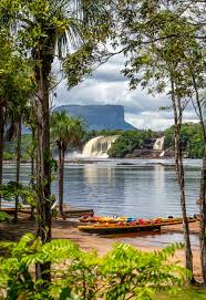 Canaima - Salto Ángel | Campamento Categoría Standard - Image 4