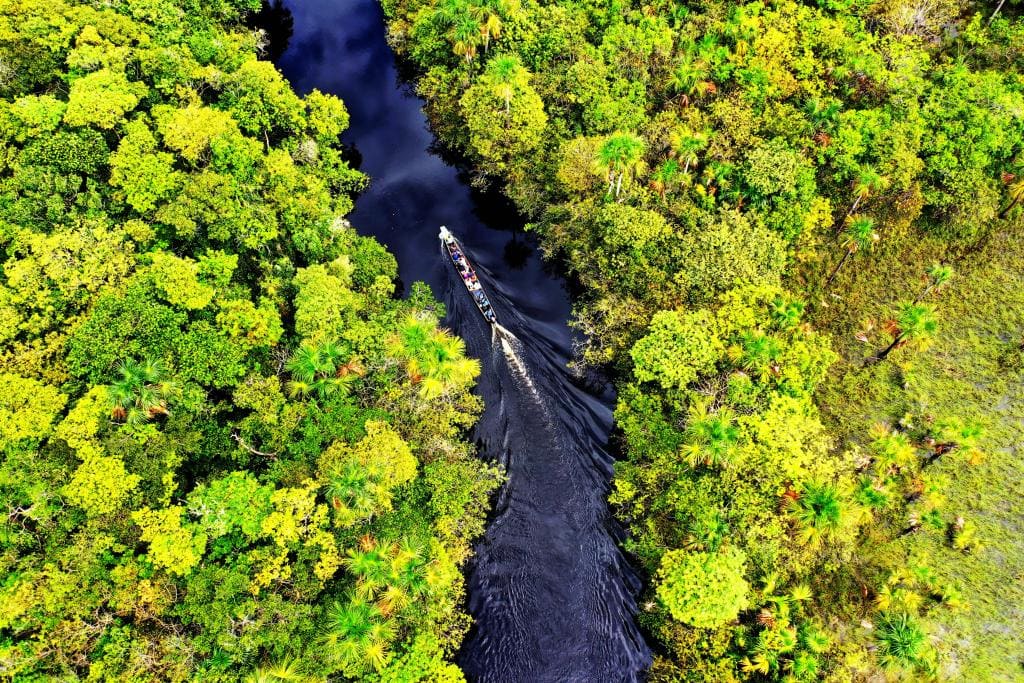 Canaima National Park & Angel Falls | Premium Category - Image 2